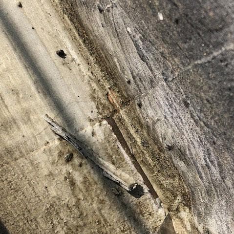 Metal Roof Flashing Repair - West Tennessee St, Tallahassee, FL