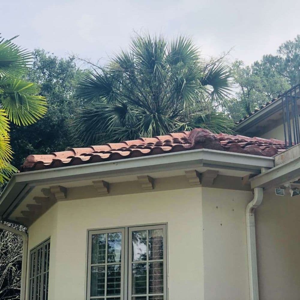 Palm trees and red-tiled roof of a house against a cloudy sky.
